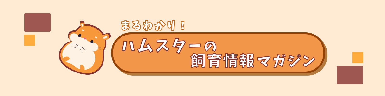 まるわかり！ハムスターの飼育情報マガジン